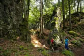 Region Sommer Bild 22
